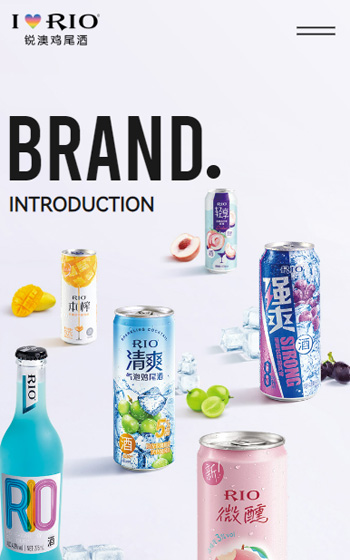 上海巴克斯酒業有(yǒu)限(xian)公(gōng)司（銳澳）網站案例圖片0